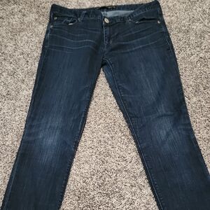 Express Deep Indigo Jeans
